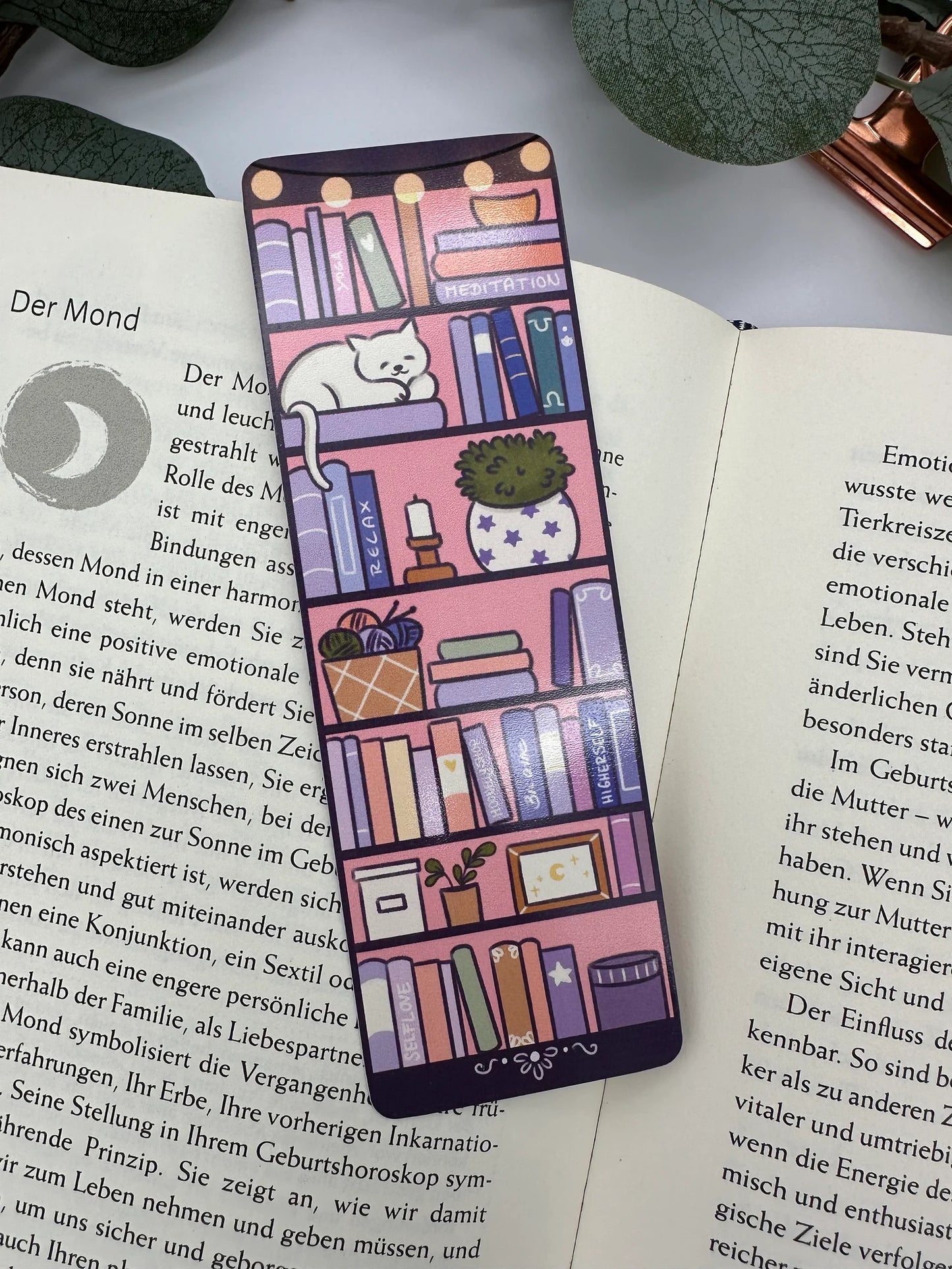 Magisches Bücherregal - Witchy Cat und Büchercharme