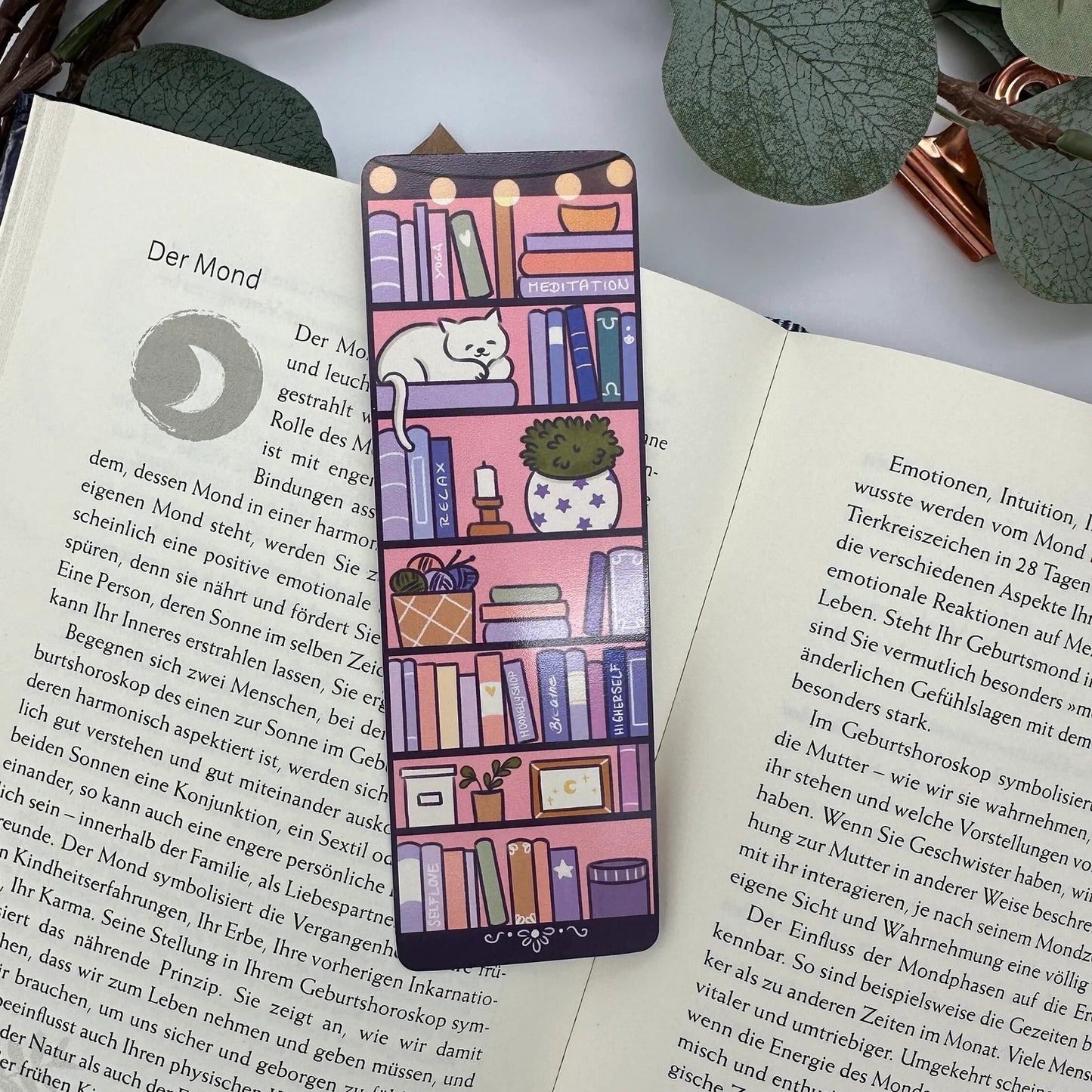 Magisches Bücherregal - Witchy Cat und Büchercharme